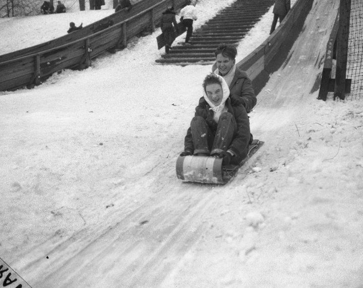 Toboggan 6 marches
