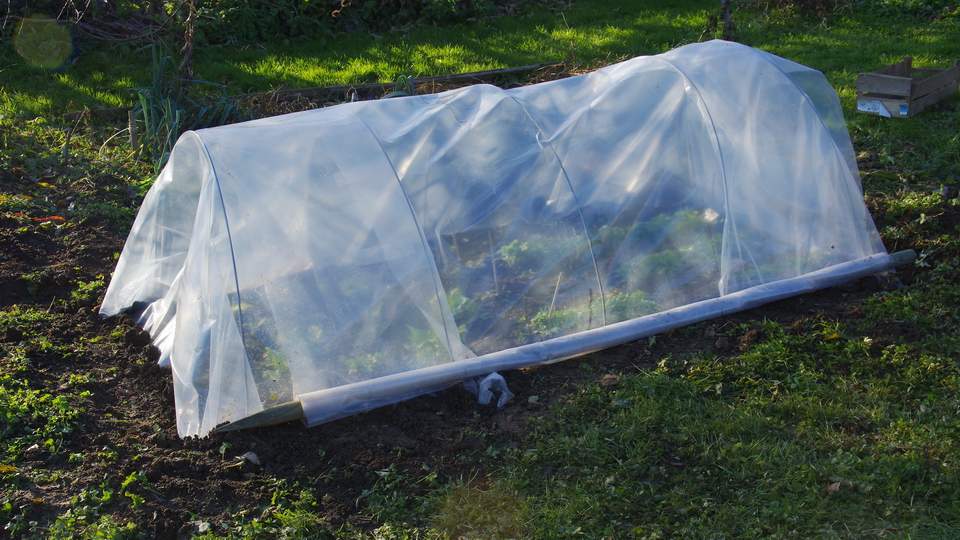 Tunnel pour potager pas cher
