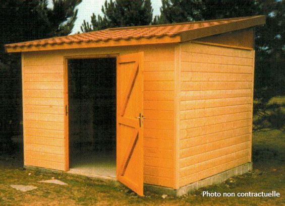 Cabane de jardin occasion
