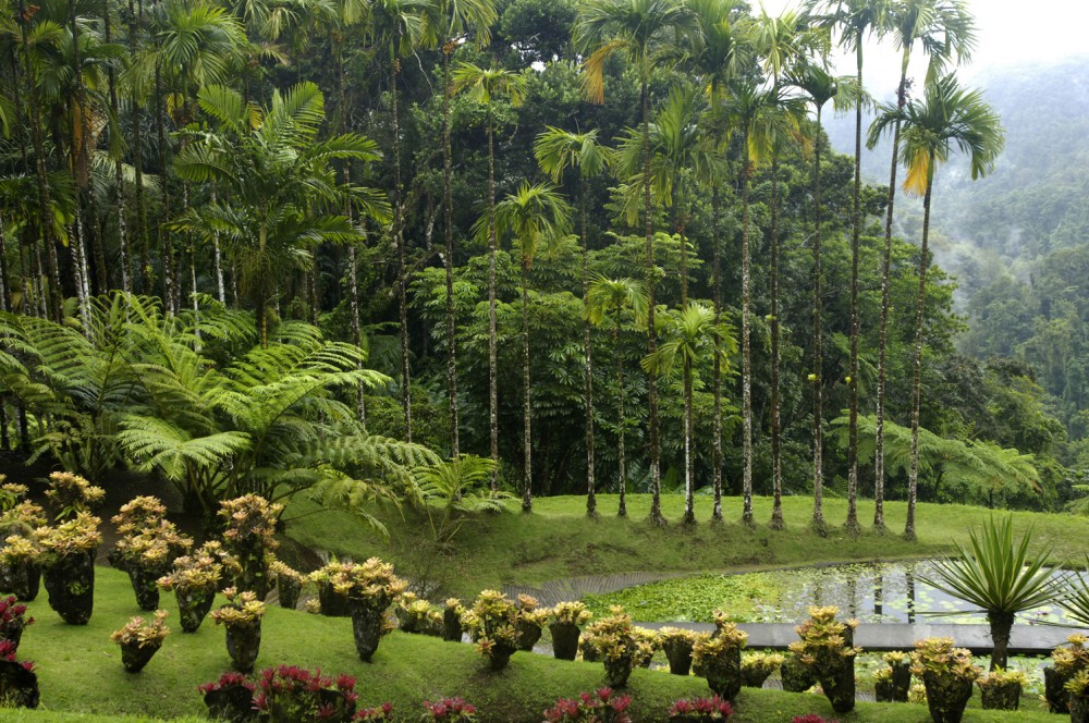 Serre de jardin martinique
