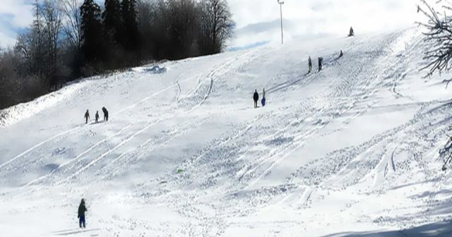 L'amoreaux park toboggan
