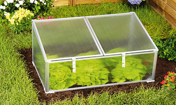 Petite serre de jardin en plastique
