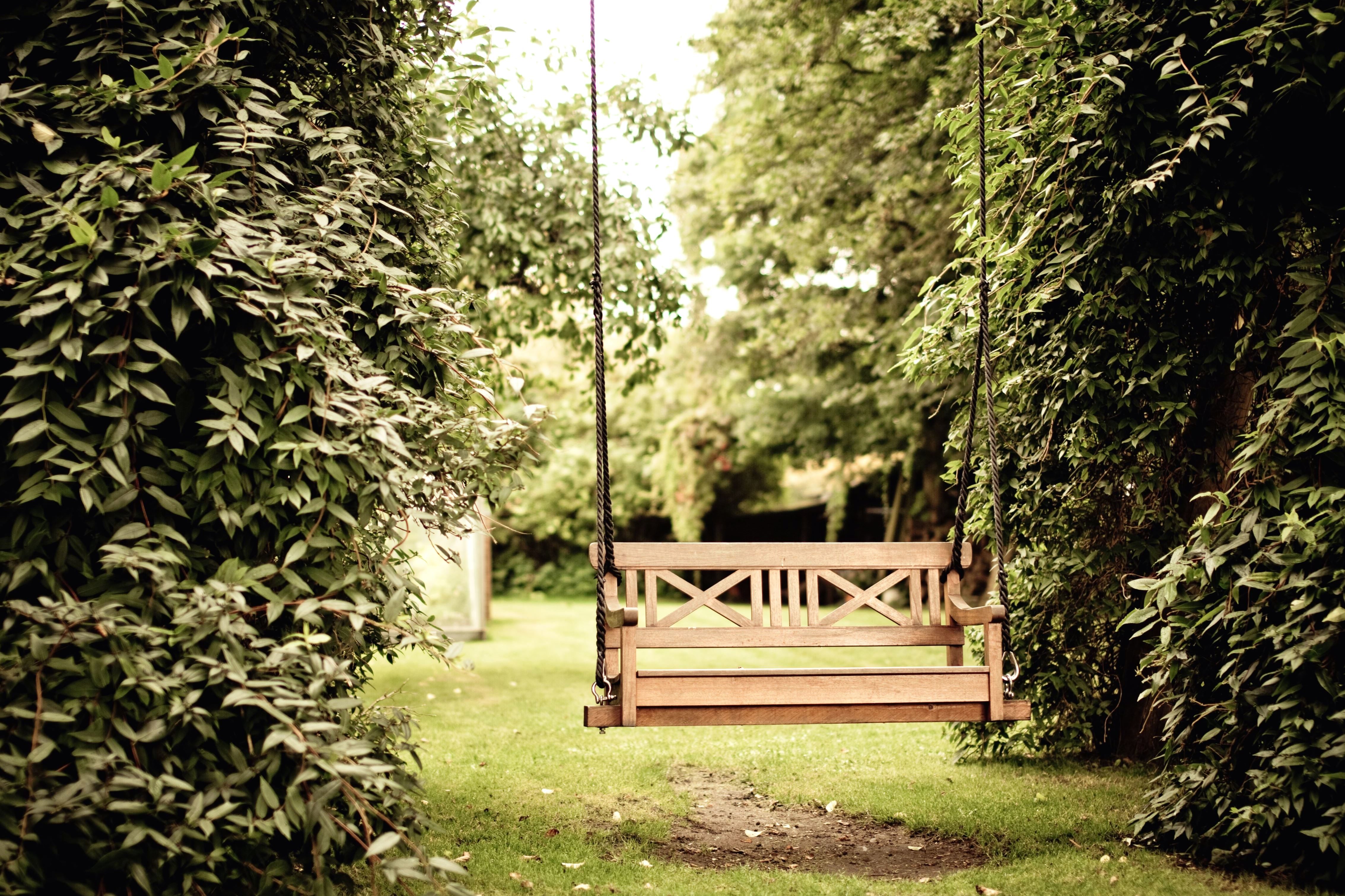 Balançoire arbre

