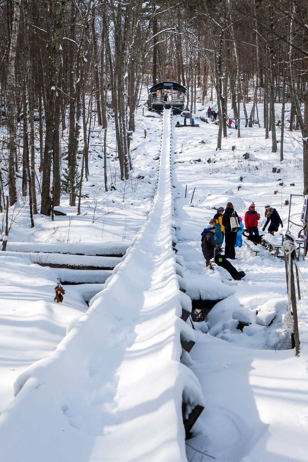 Racing toboggan 4 letters
