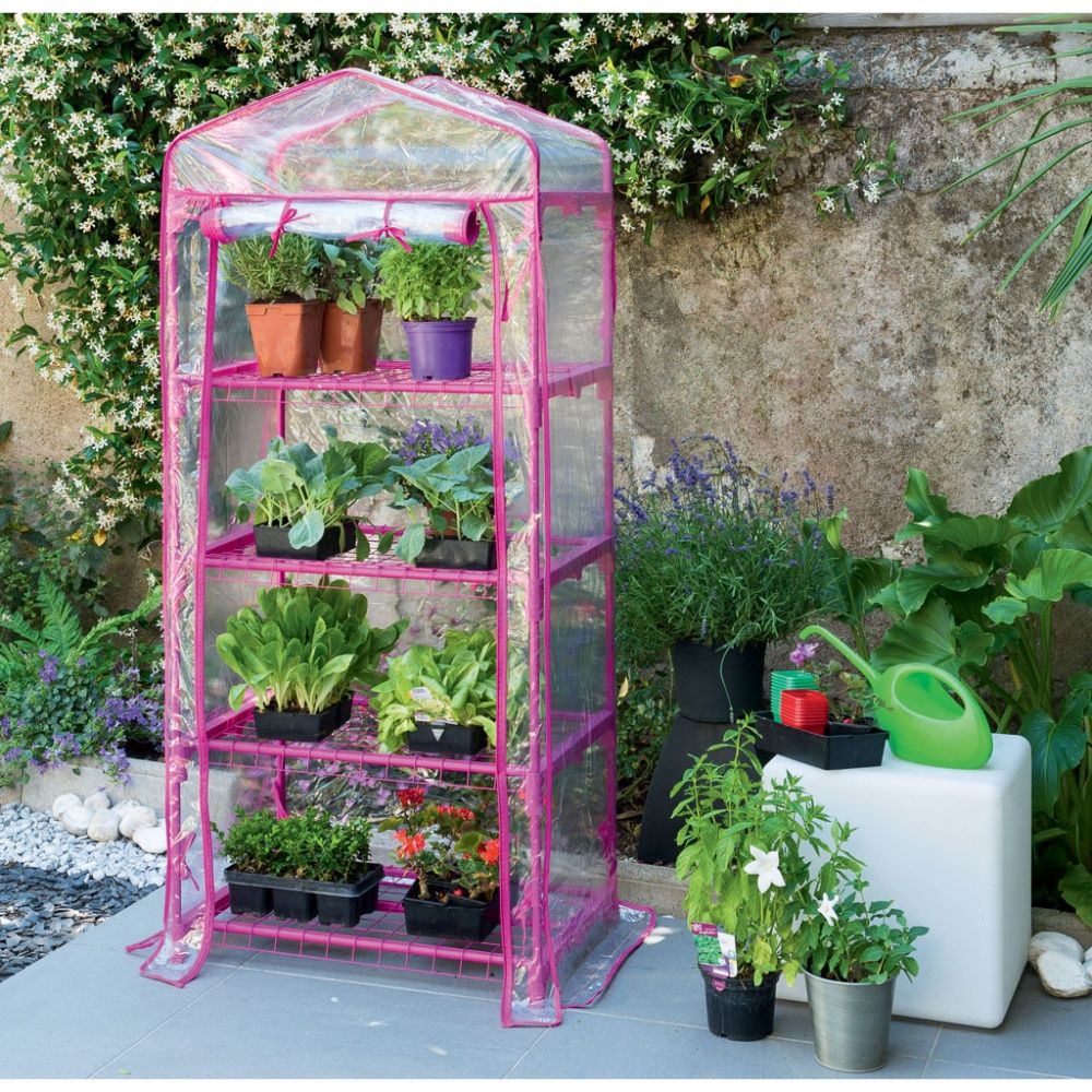 Acheter mini serre
