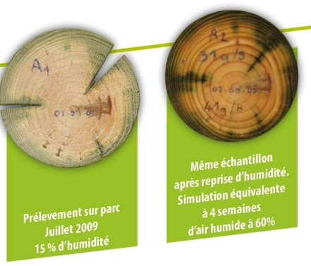 Soulet portique en bois sedelle

