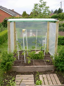 Petites serres pour tomates
