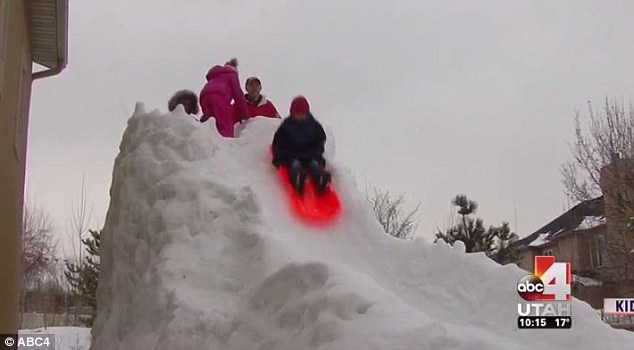 Light toboggan 4 letters
