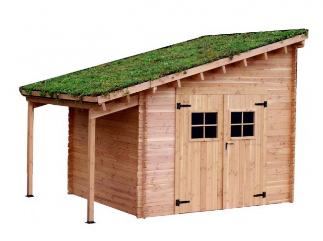 Cabane de jardin toit vegetalise
