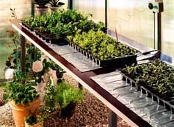 Accessoire serre de jardin
