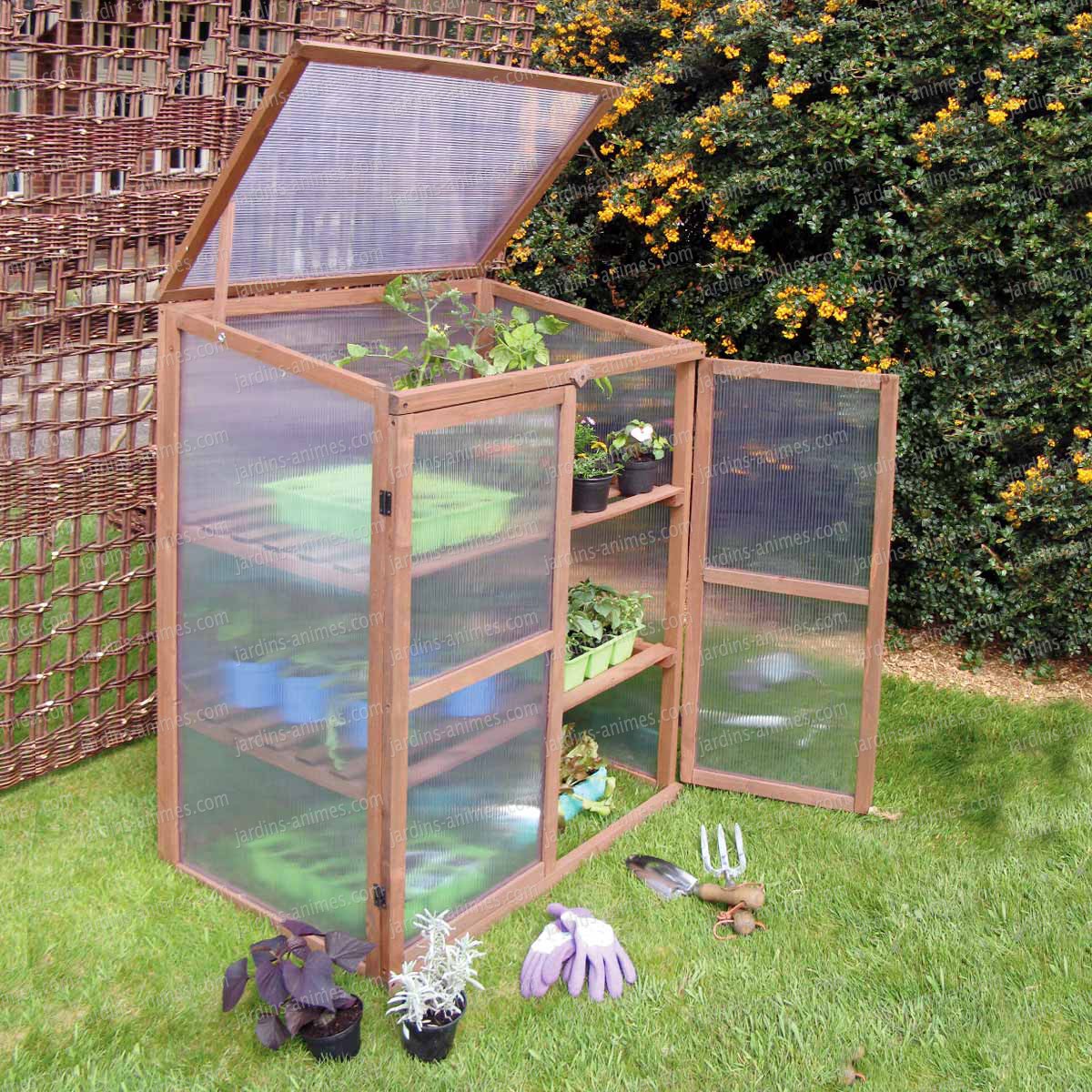 Mini serre pour terrasse

