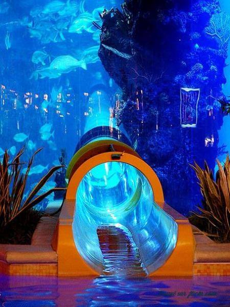 Toboggan qui passe dans un aquarium
