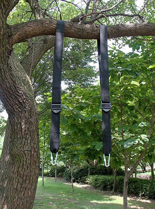 Balancoire sur arbre

