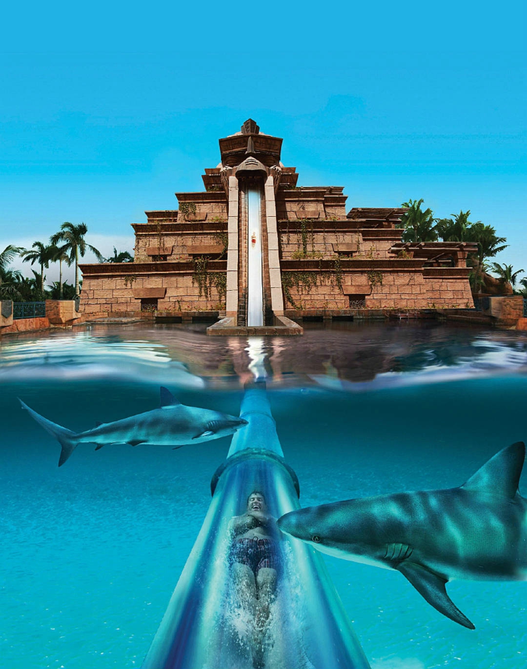 Un toboggan aquatique qui démarre à la verticale
