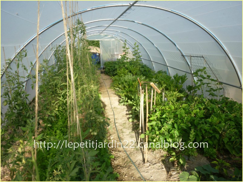 Petit tunnel jardin
