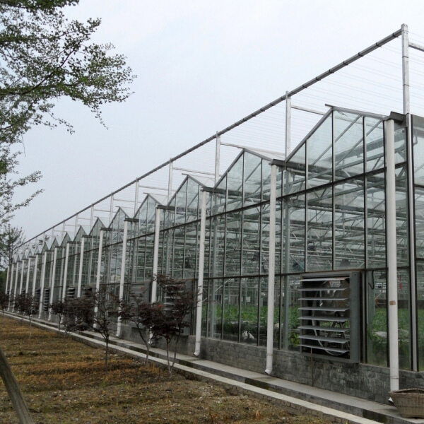 Serre agricole verre
