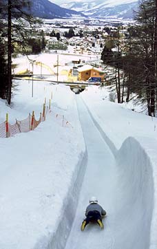 Toboggan t rex
