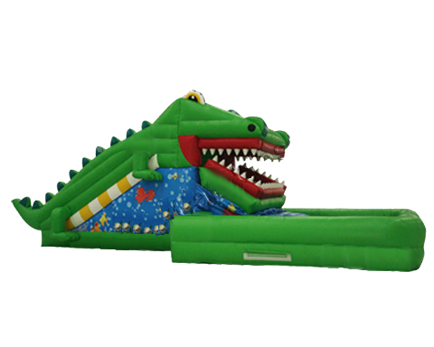 Toboggan crocodile
