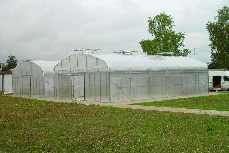 Serre tunnel a vendre
