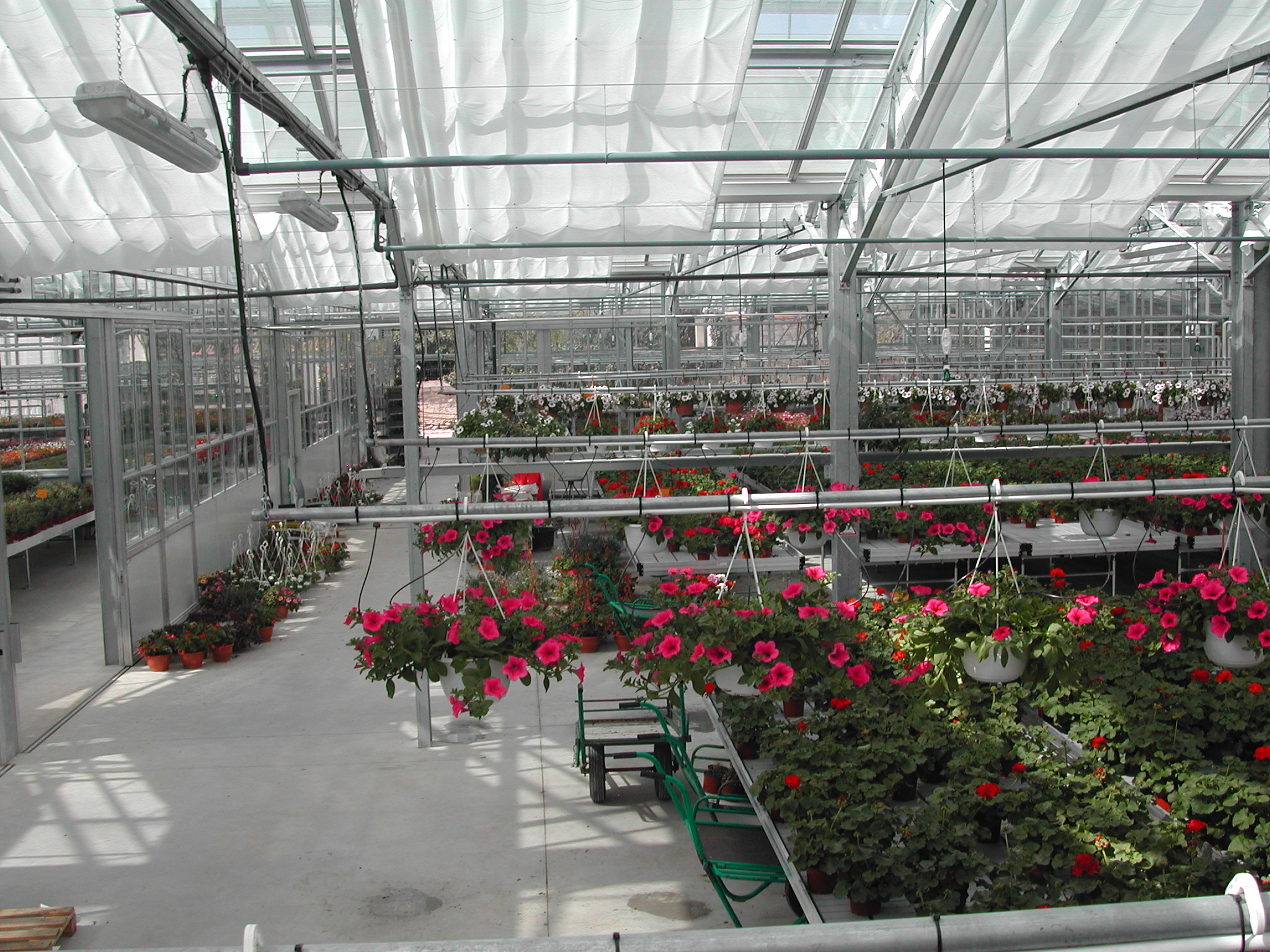 Serre professionnelle agricole
