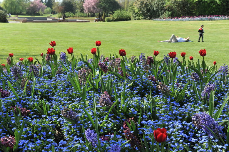 Serre équatoriale jardin des plantes lille
