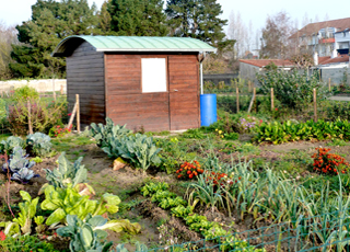 Cabane de jardin oxybul
