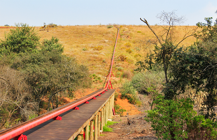 Long toboggan
