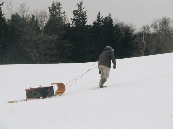 Toboggan journal
