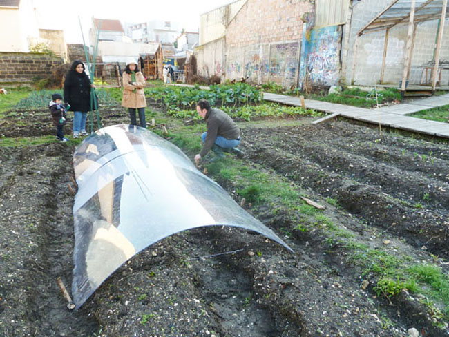 Plexiglas pour serre de jardin
