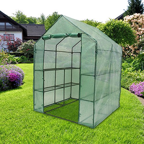 Serre de jardin avec étagères
