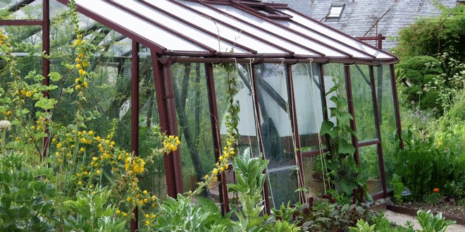 Serre de jardin usagé
