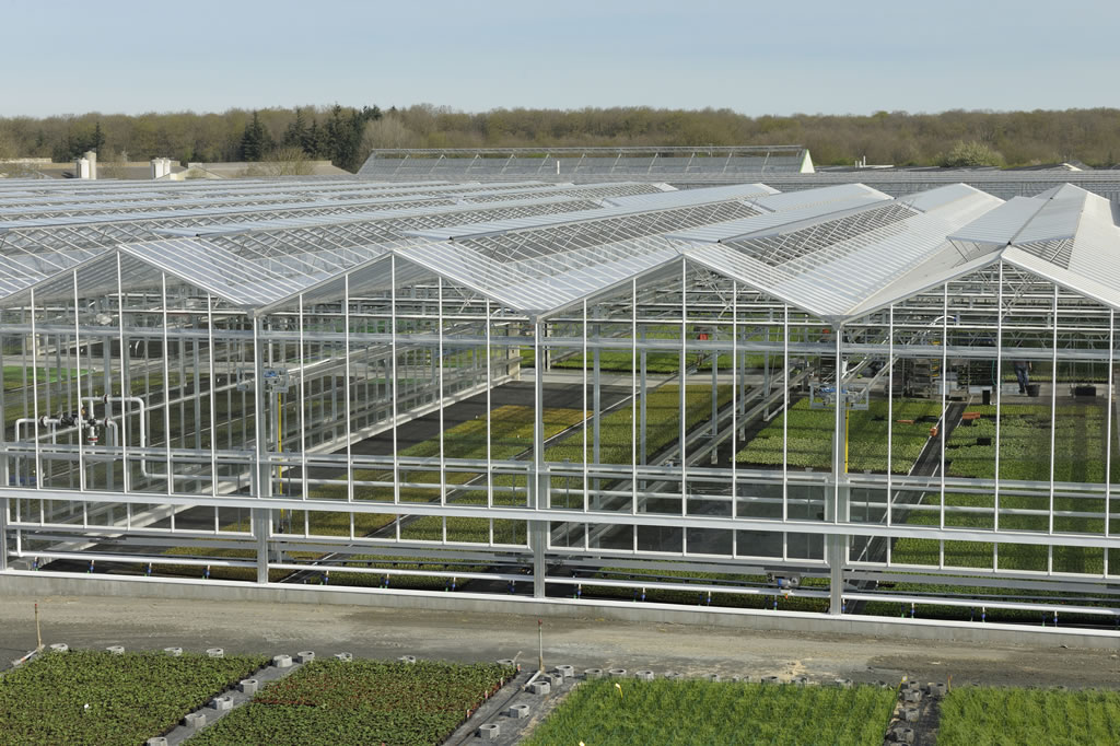 Serre de jardin grande surface
