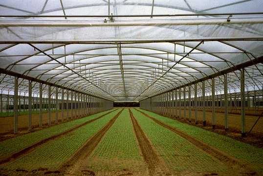 Serres agricoles
