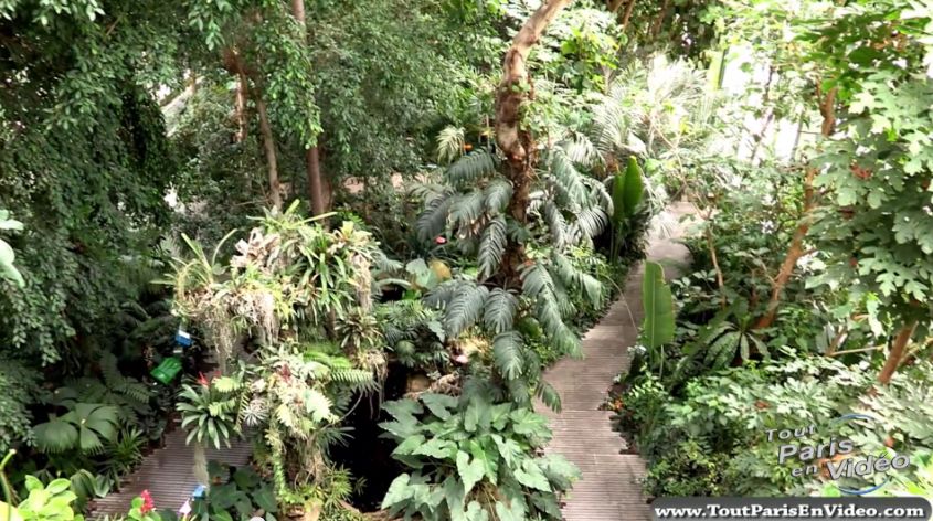 Serres plantes et jardins
