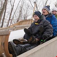 Tobogganing
