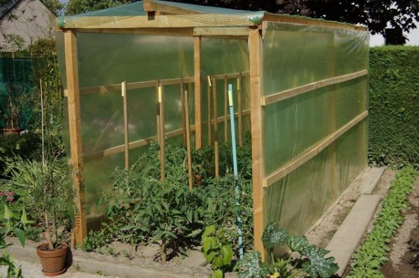 Serre pour tomates

