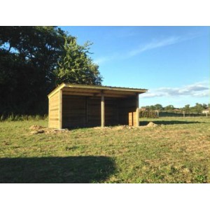 Cabane de jardin 3x6
