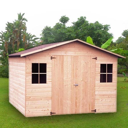 Abri jardin brico
