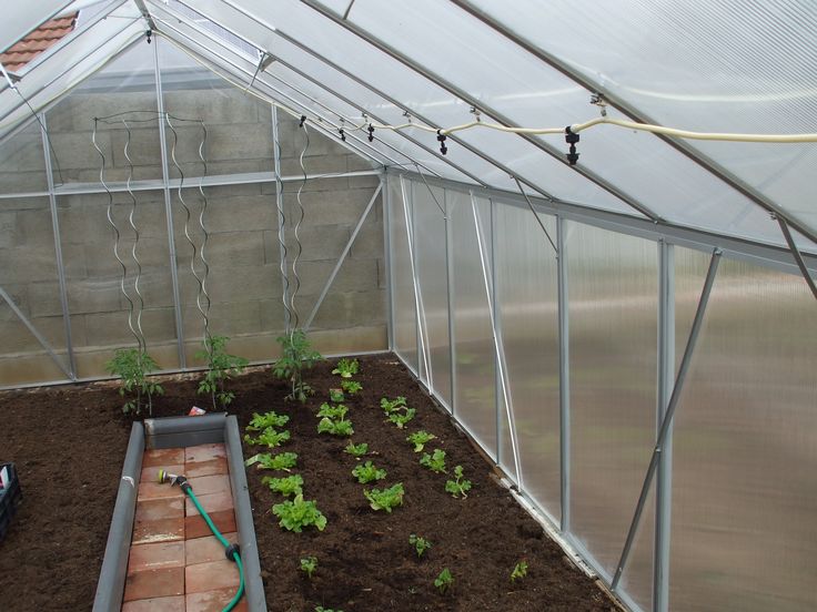 Serre de jardin shopix
