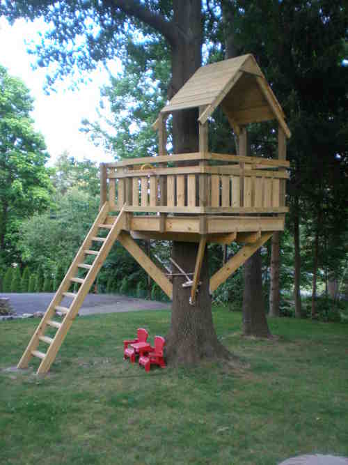 Cabane de jardin dans les arbres
