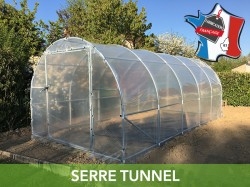 Serre en tunnel
