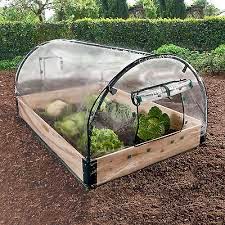 Petite serre de jardin pour tomate
