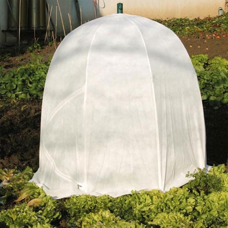 Serre en plastique pour jardin
