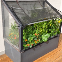 Petite serre pour plante
