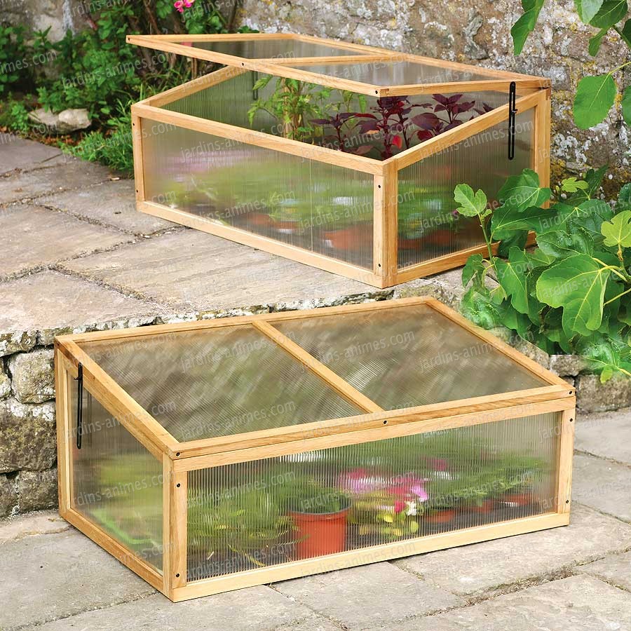 Petite serre de jardin polycarbonate

