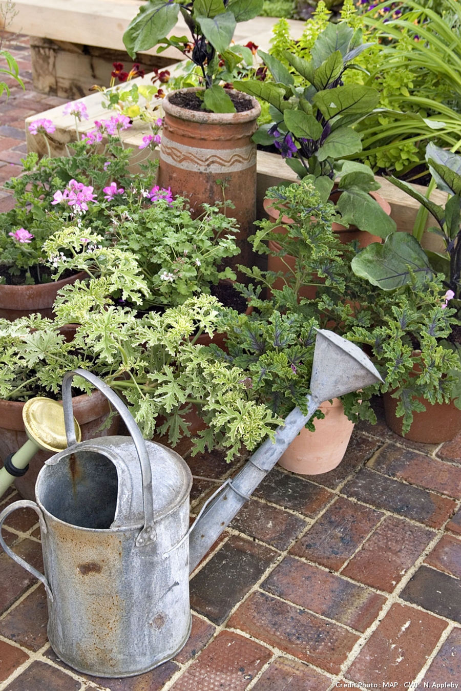 Serre de jardin hors gel
