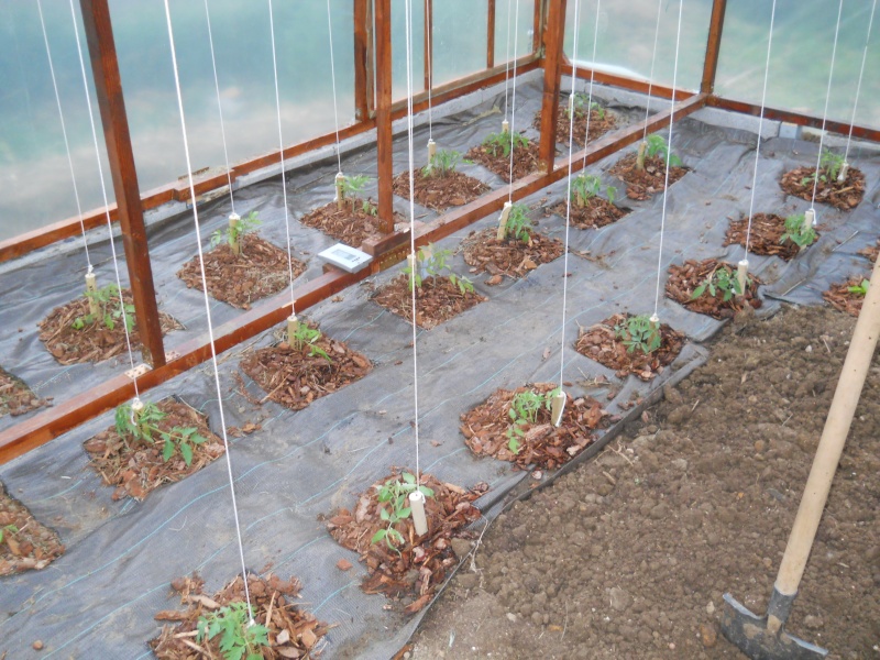 Aménagement d'une serre de jardin
