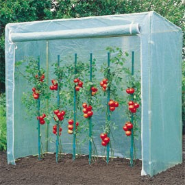 Serre à tomates pas cher
