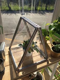 Mini serre greenhouse
