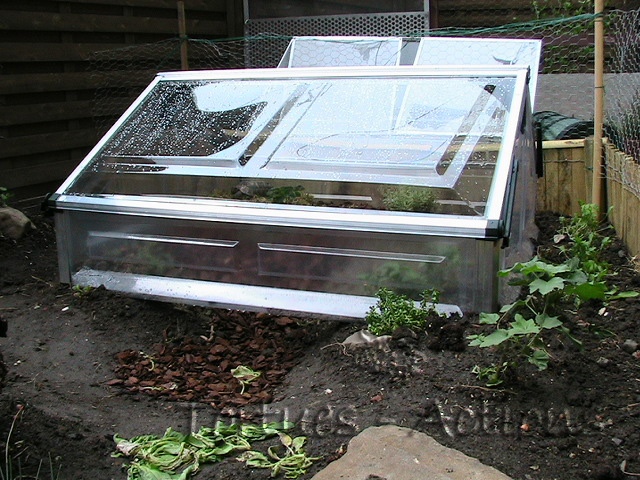 Mini serre plexiglas
